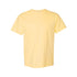 Comfort Colors 1717 Heavyweight T-Shirt
