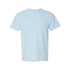Comfort Colors 1717 Heavyweight T-Shirt